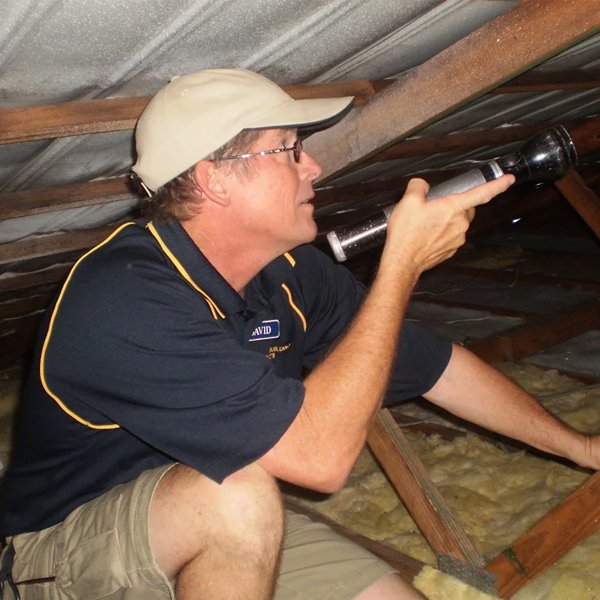 pre_purchase_building_and_pest_inspection pre_purchase_building_and_pest_inspection