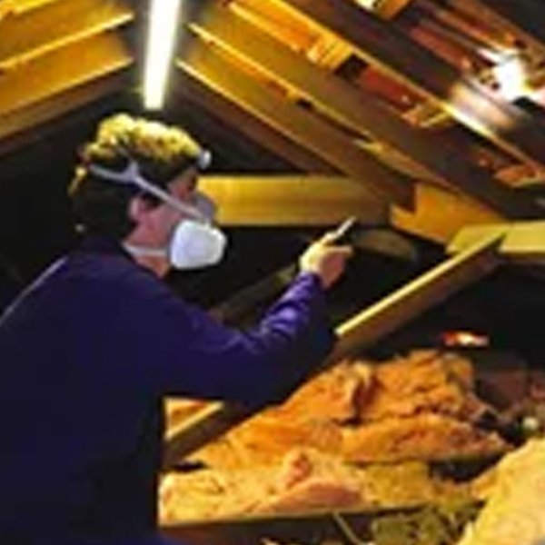 pre_purchase_building_and_pest_inspection_04 pre_purchase_building_and_pest_inspection_04